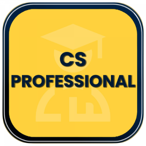 CS Professional Classes