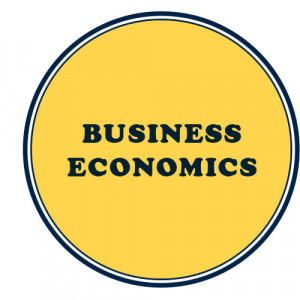 CA Foundation Business Economics