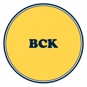 CA Foundation BCK Crash Course