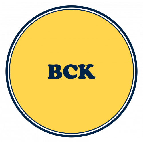 CA Foundation BCK Crash Course